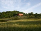 Farmhouse with Pool & Separate Apartment on an Organic Farm